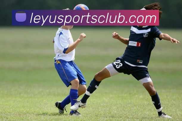 乐鱼体育APP 高清赛事图